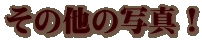 ̑̎ʐ^I
