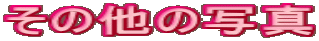 ̑̎ʐ^
