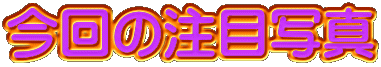 ̒ڎʐ^